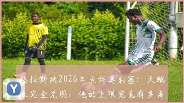 格拉斯纳2026年点评奥利塞：天赋未完全兑现，他的上限究竟有多高？